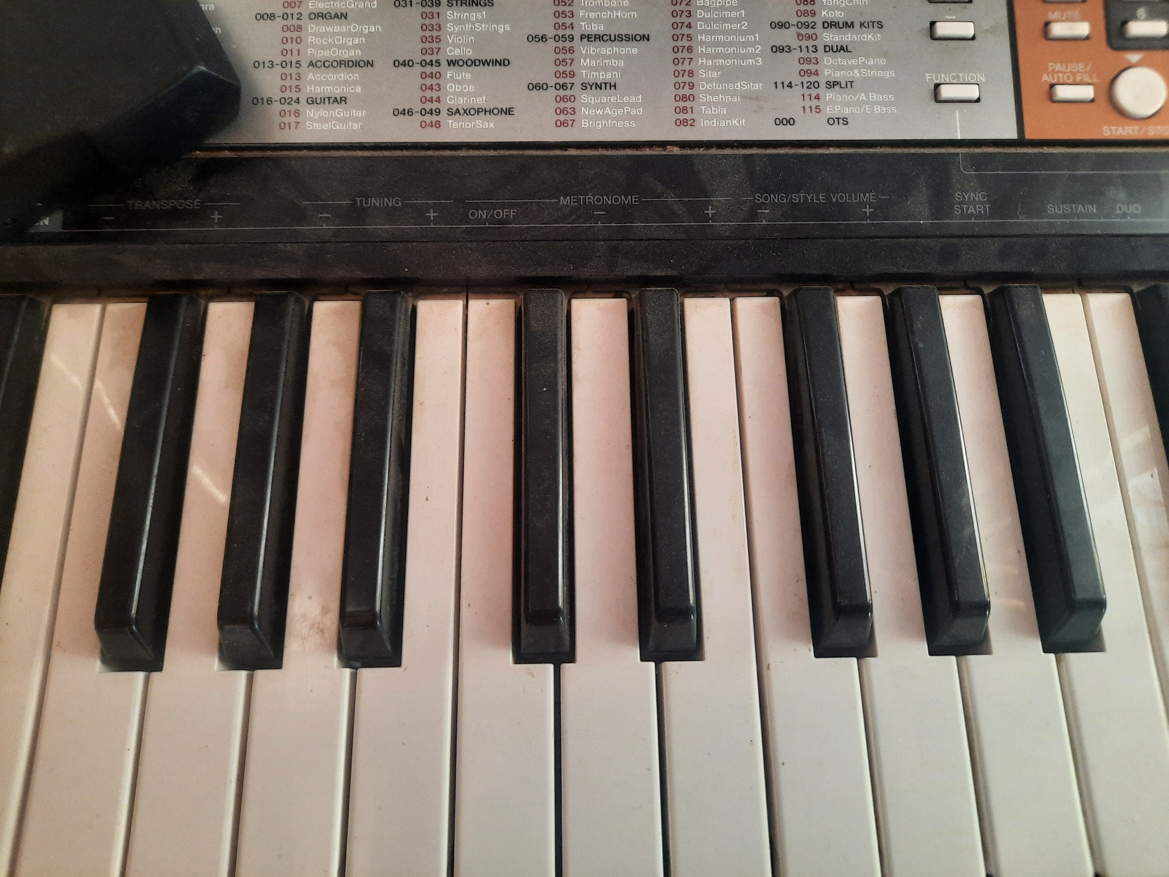 תמונת פרופיל