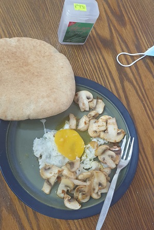 תמונת פרופיל